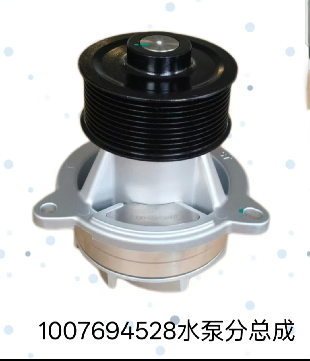 1007694528泵头